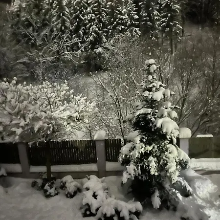 Apartman Krahule アパート